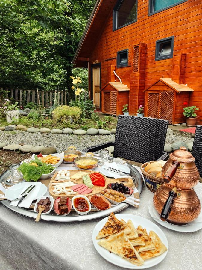 Kiana Bungalov Bed and Breakfast Ardeşen Eksteriør billede